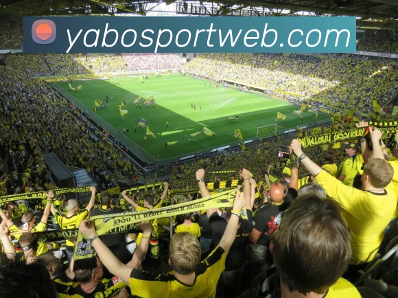 亚博体育平台生态图